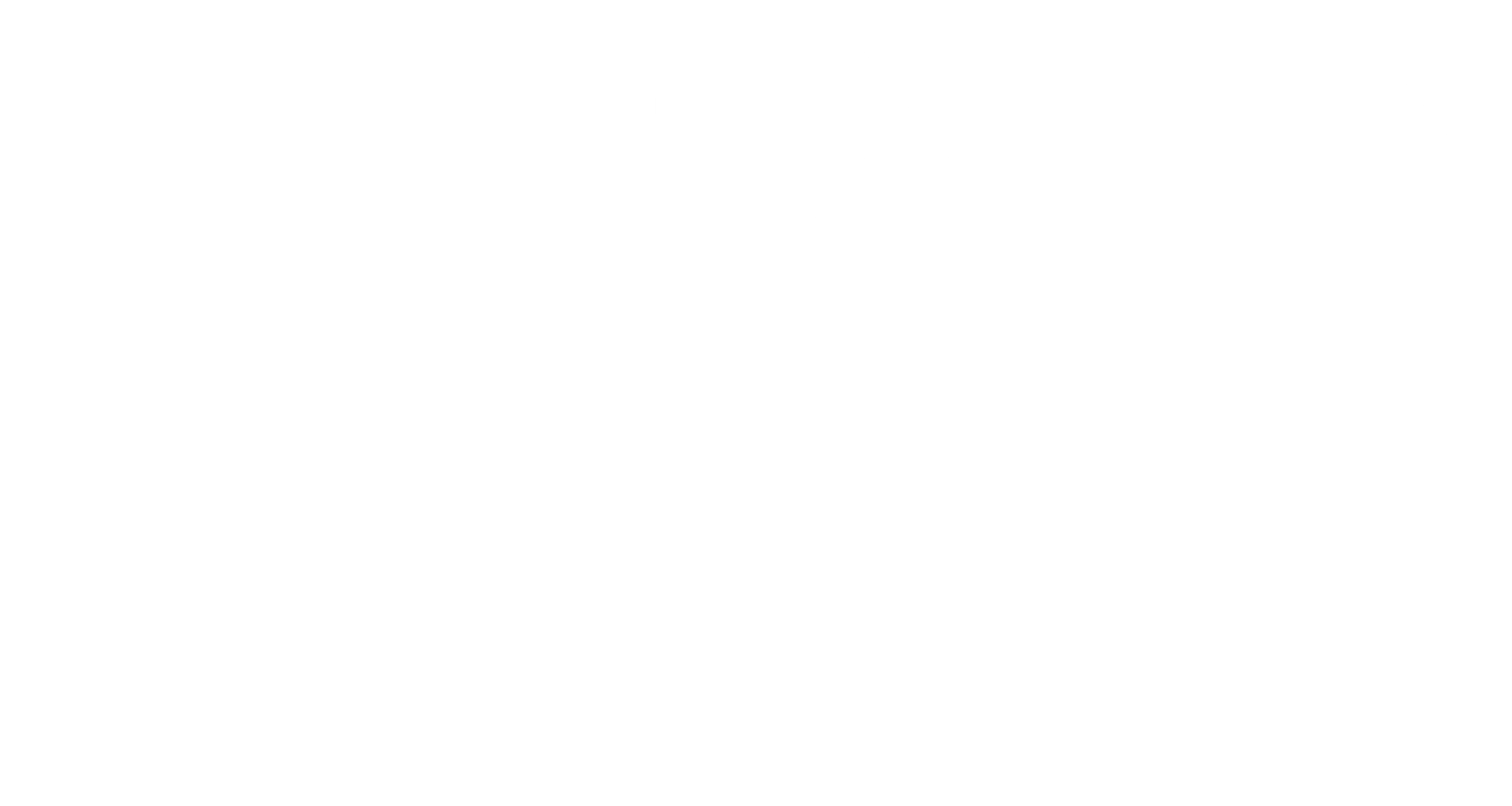 Logo Flexen energia mogi mirim footer
